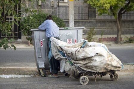 استفاده از زباله‌گردها برای پیمانکاران شهرداری مجاز شد.